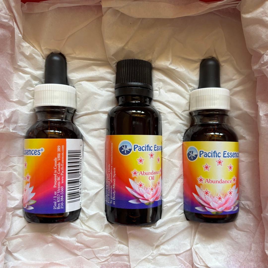 パシフィックエッセンス アヴァンダンスプログラム第3版