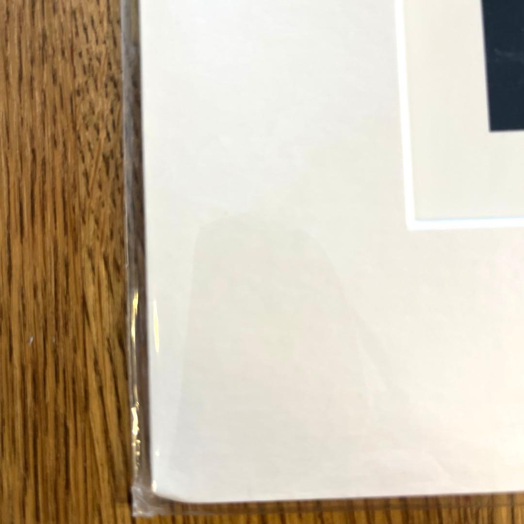 超レア　DavidBowie ✖️DUFFYフォトパネル