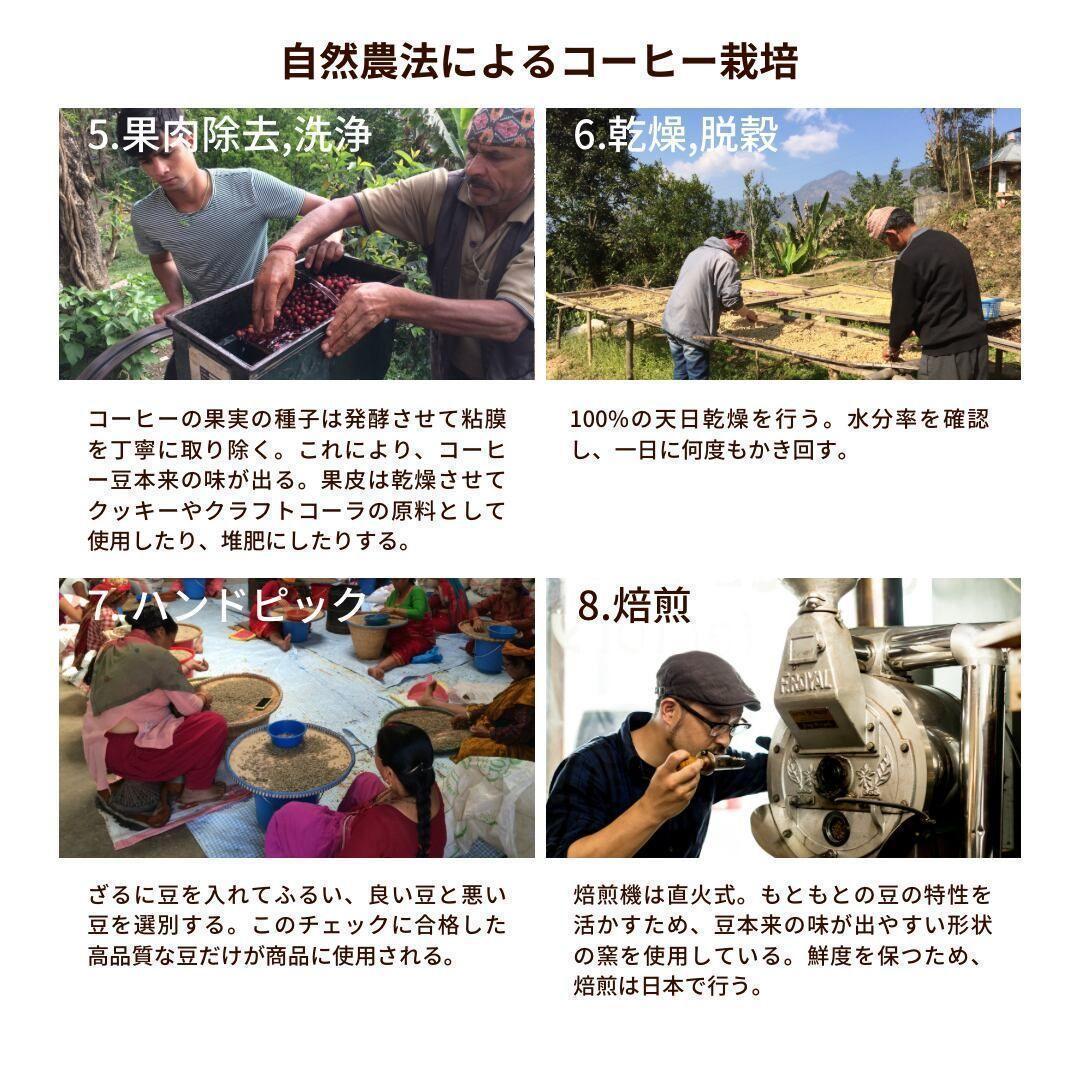★オーガニックコーヒー アメリカン フェアトレード 1kg コーヒー豆 ネパール