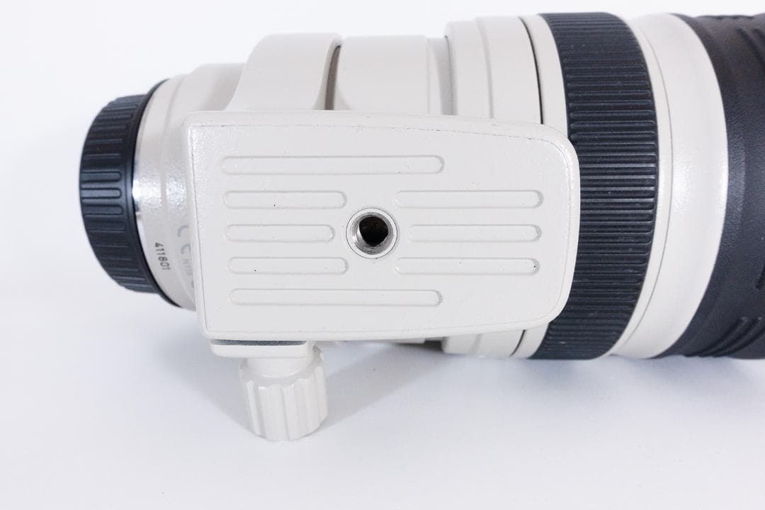 Canon EF100-400mm F4.5-5.6L IS USM ケース付き