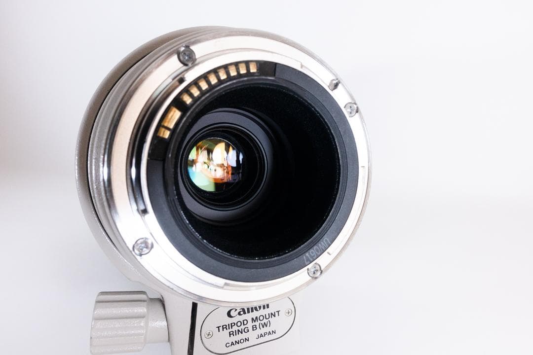 Canon EF100-400mm F4.5-5.6L IS USM ケース付き