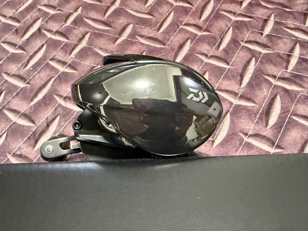 桃　ダイワ 24スティーズ SV TW 100H STEEZ DAIWA