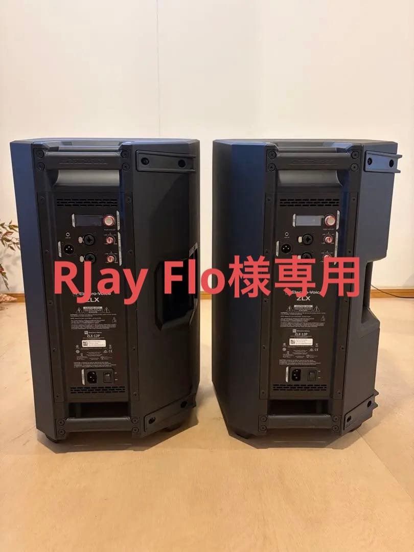 エナンEV ZLX-12Pパワードスピーカーペア、オヤイデ PA-02