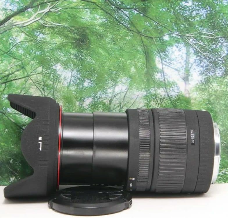 ❤近くから遠くまでこれ１本☆美品♪シグマ 18-200mm DC キャノン用❤