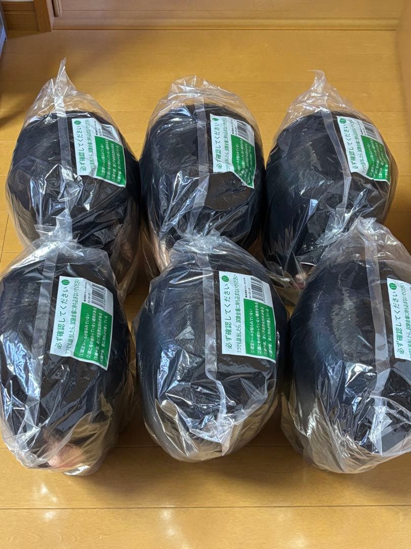 美容師国家試験 本番用ウィッグ6点