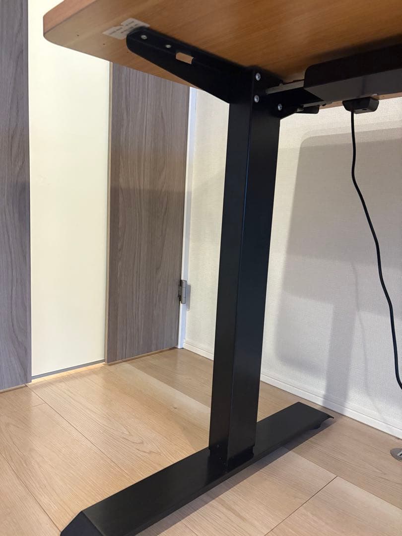 FLEXISPOT 昇降デスク パソコンデス 幅120cmスタンディングデスク