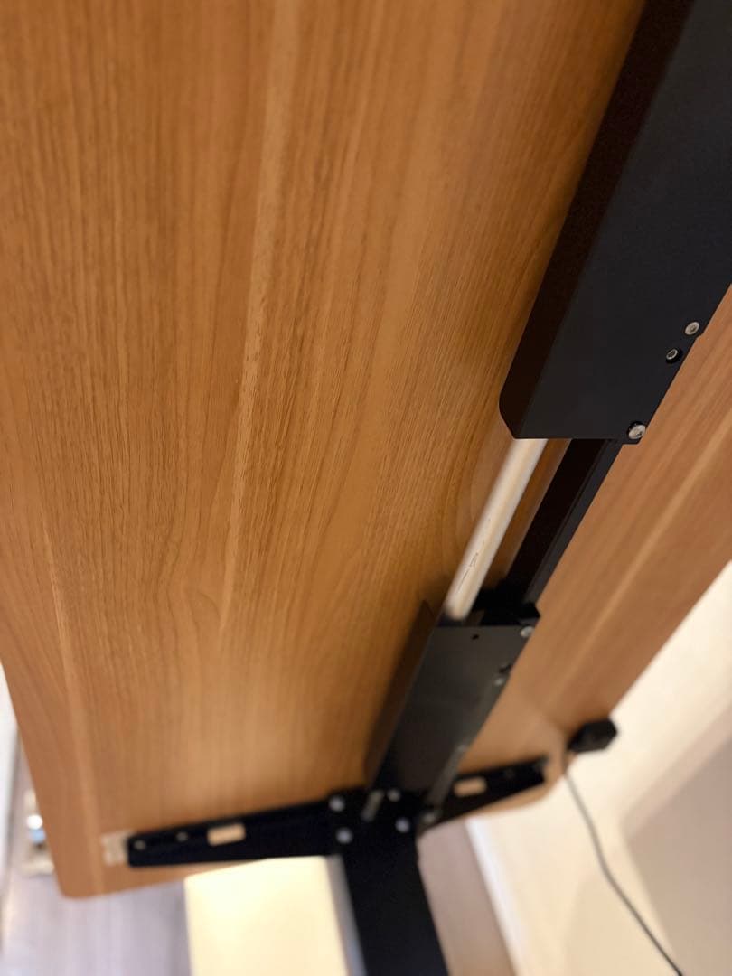 FLEXISPOT 昇降デスク パソコンデス 幅120cmスタンディングデスク