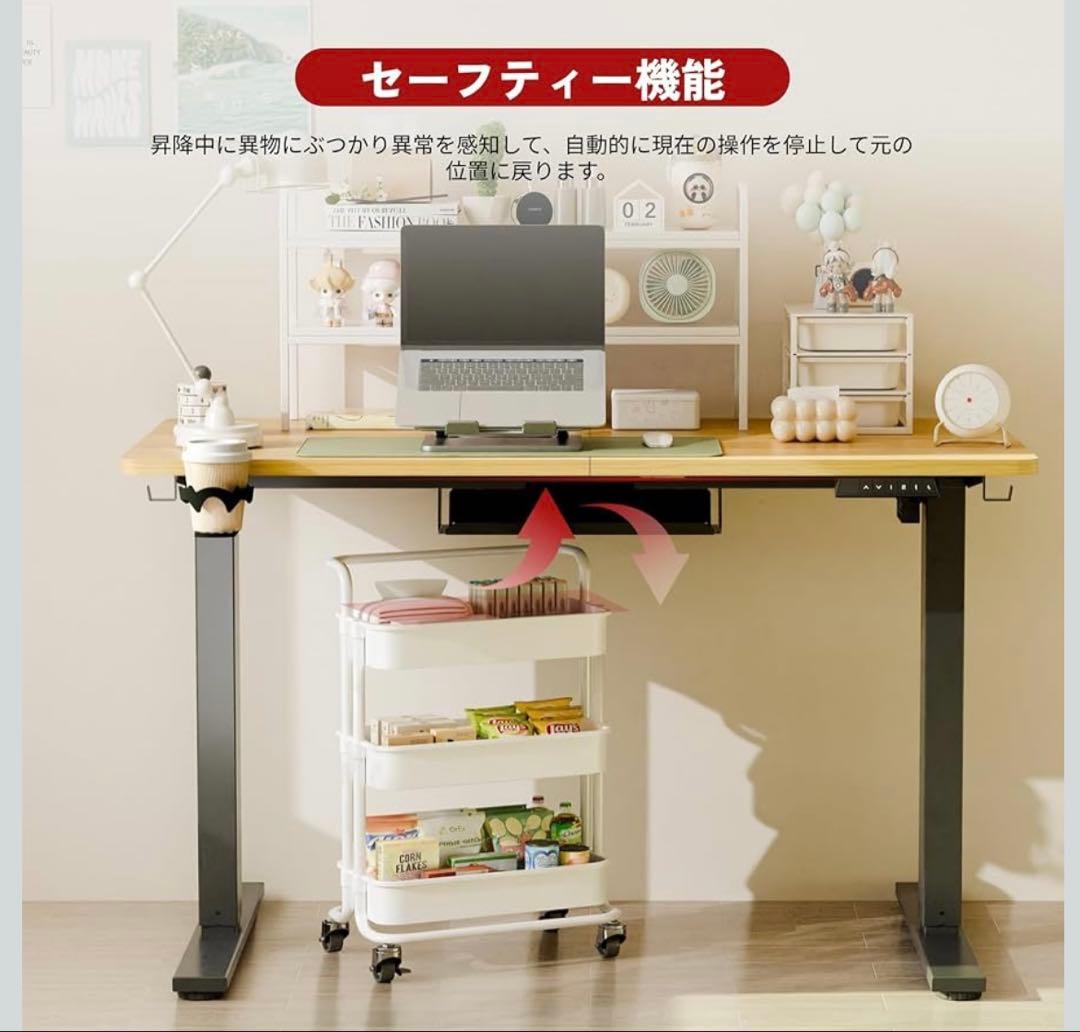 FLEXISPOT 昇降デスク パソコンデス 幅120cmスタンディングデスク