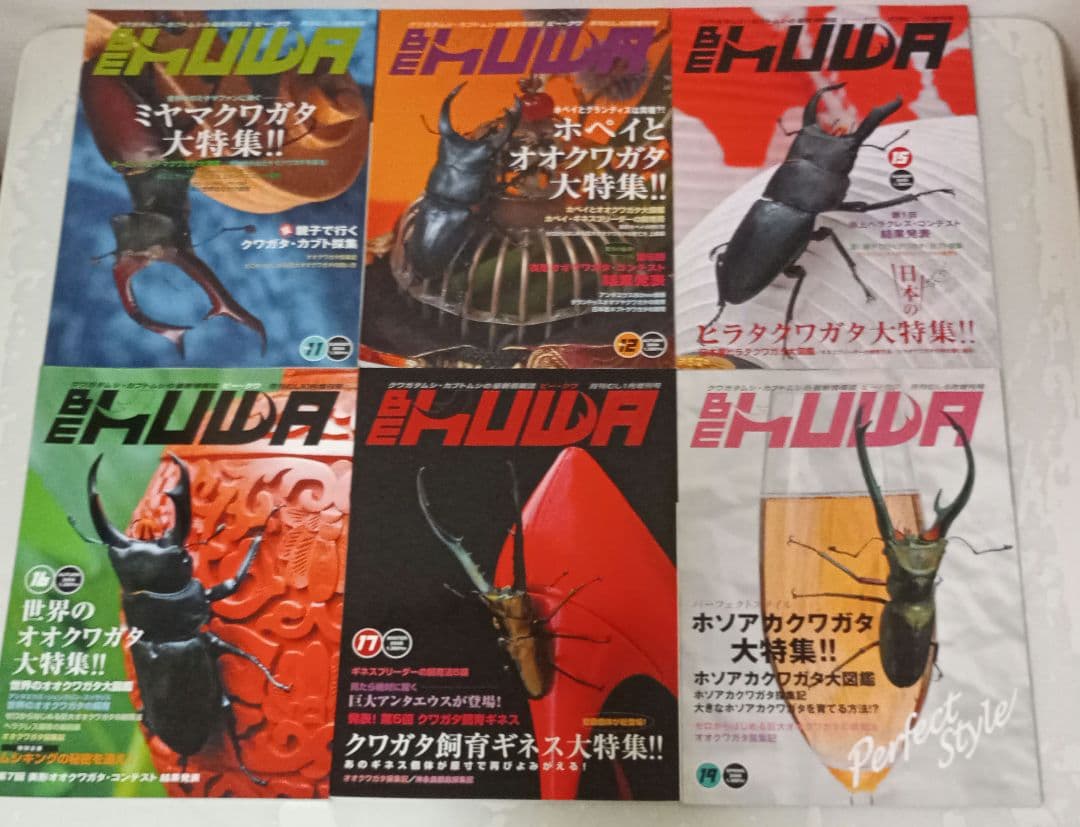 ビークワ　BEKUWA 【 号数不揃い３４冊セット 】むし社