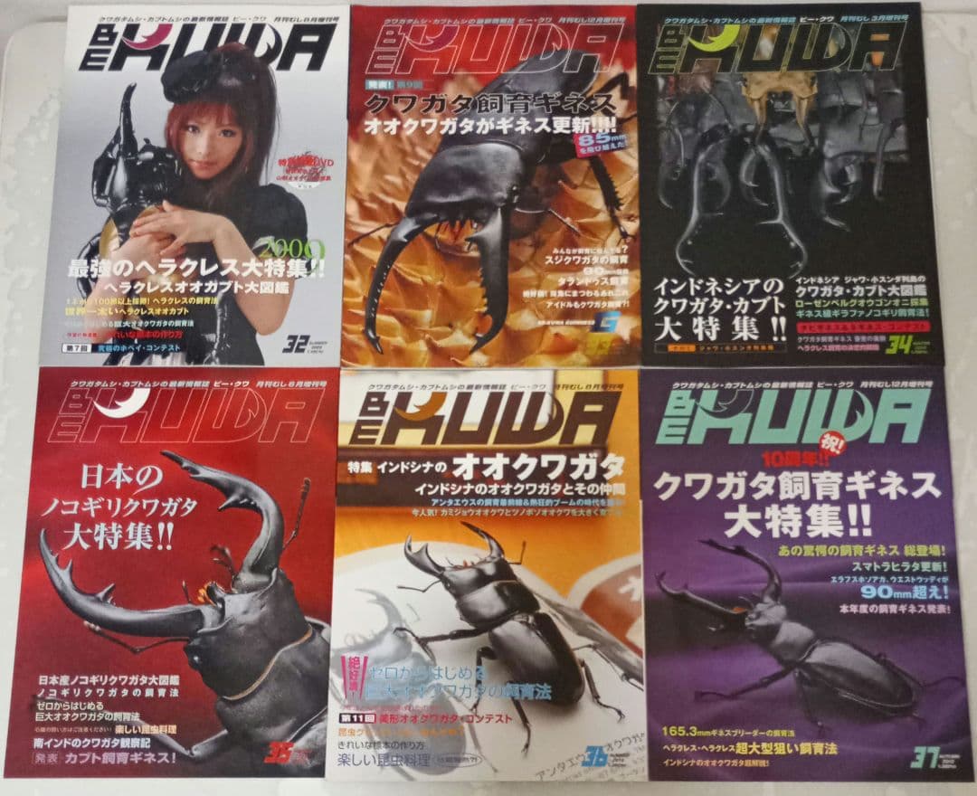 ビークワ　BEKUWA 【 号数不揃い３４冊セット 】むし社