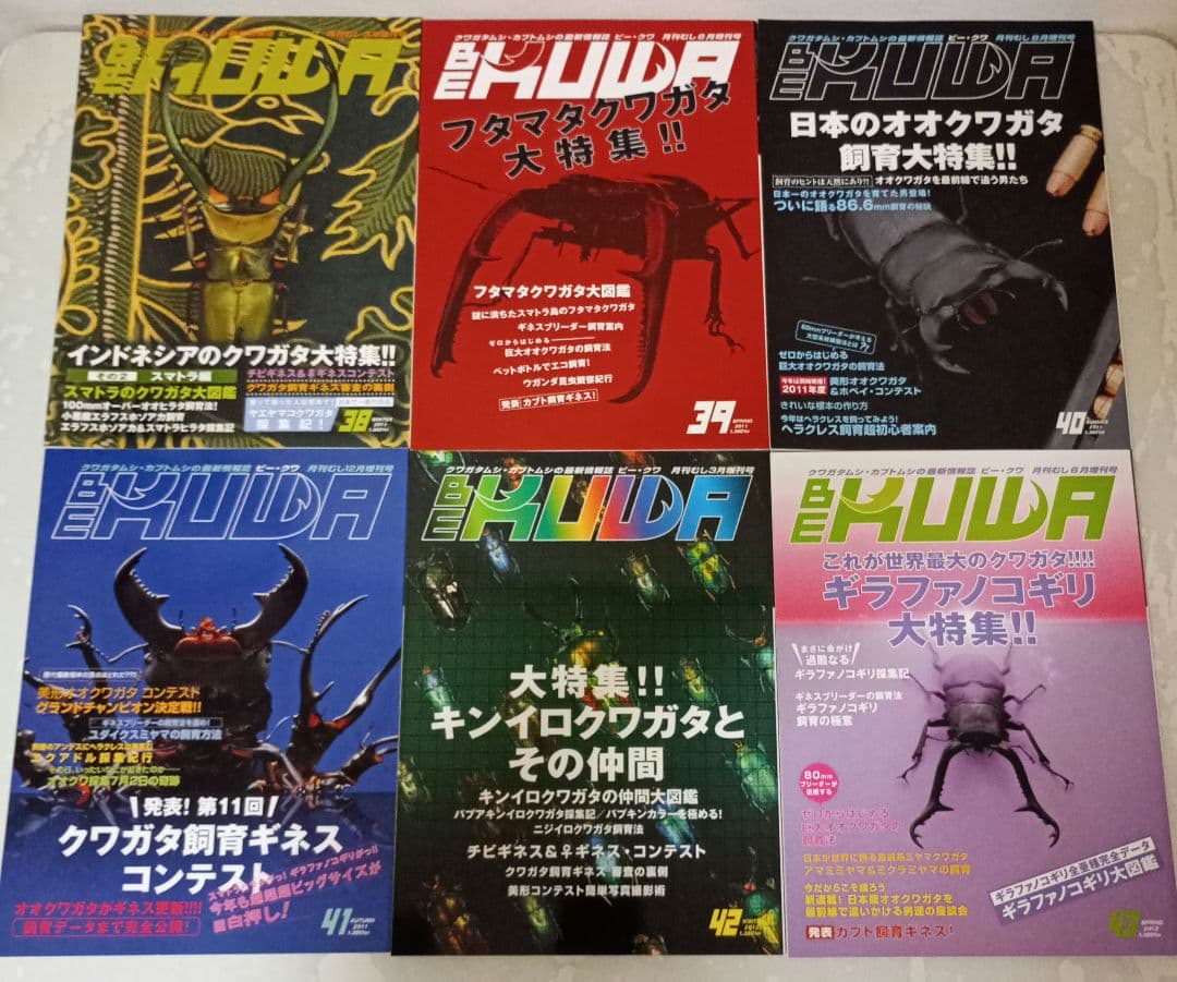 ビークワ　BEKUWA 【 号数不揃い３４冊セット 】むし社