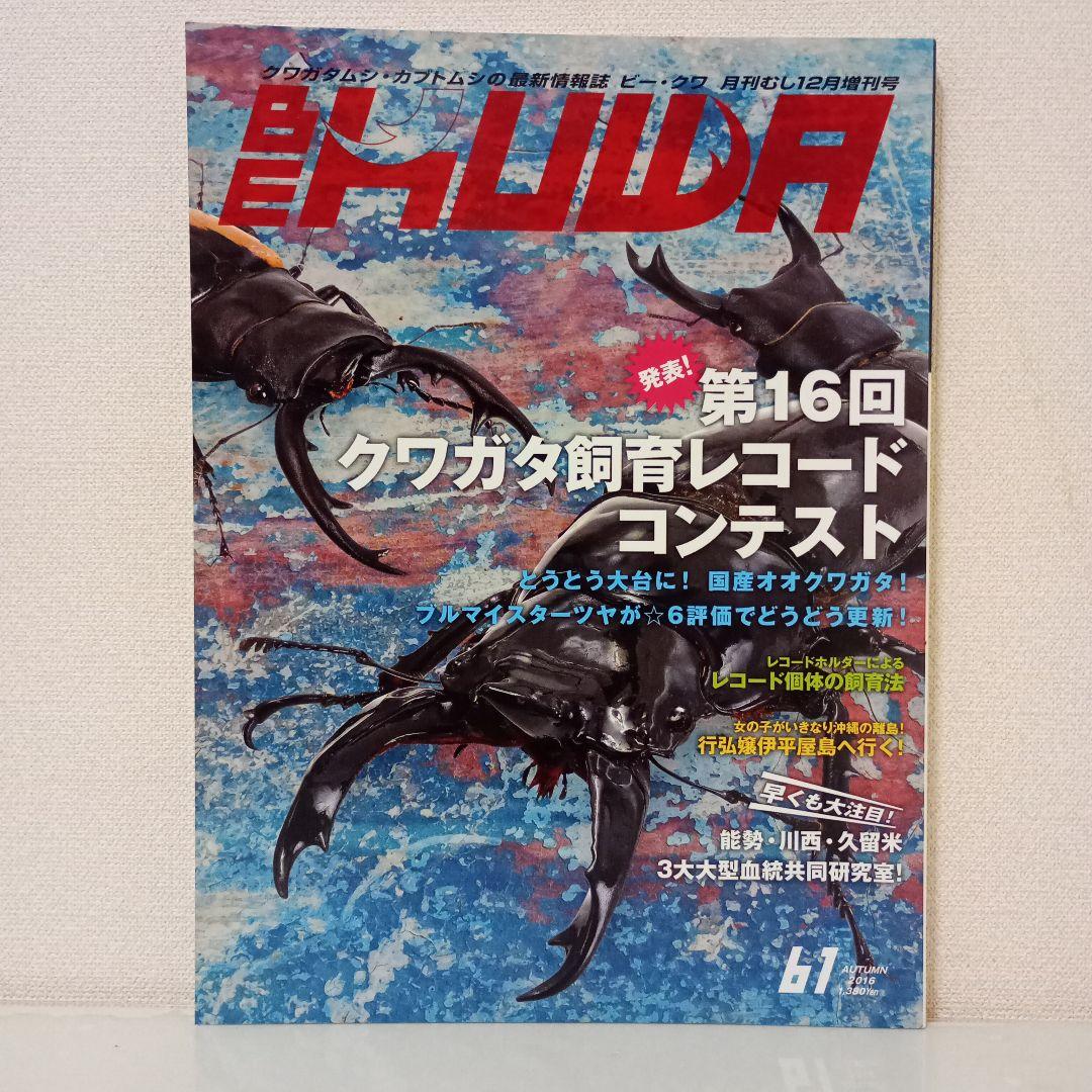 ビークワ　BEKUWA 【 号数不揃い３４冊セット 】むし社