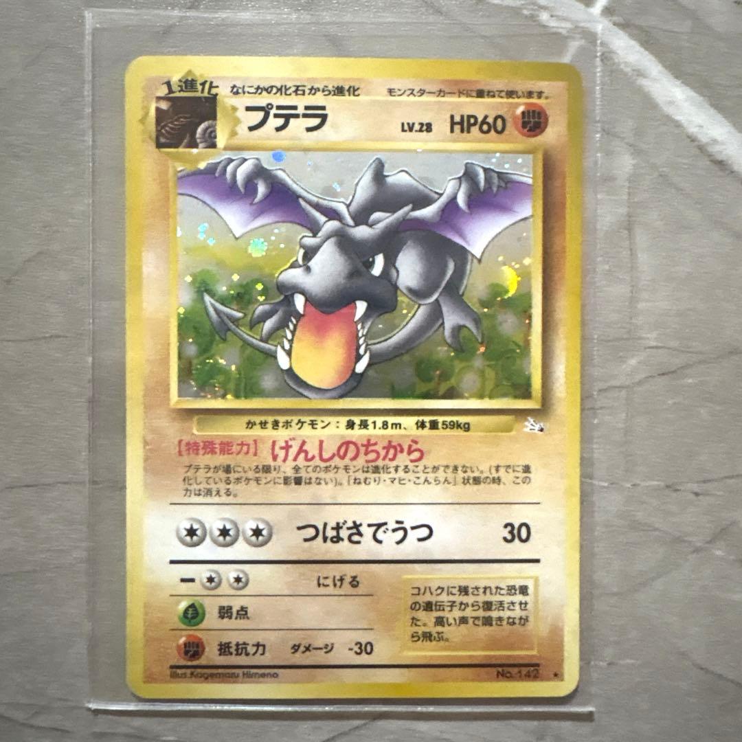 わるいリザードン フシギバナ ブイズ他 15枚セット