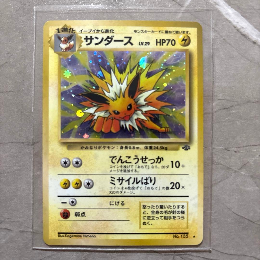 わるいリザードン フシギバナ ブイズ他 15枚セット