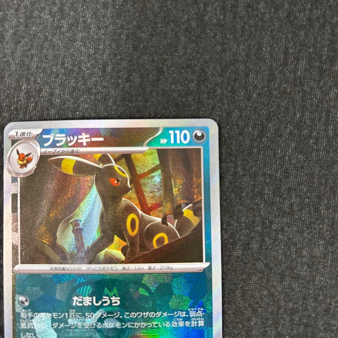 ブラッキー マスターボールミラー SV8a テラスタルフェスex092/187