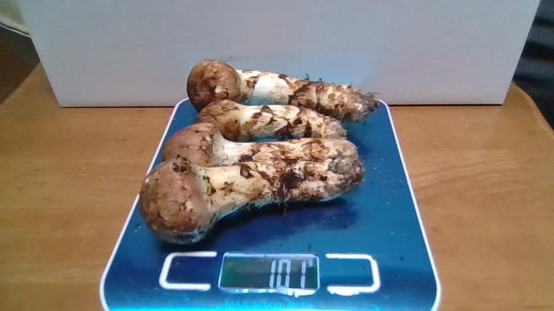 松茸　岡山産１０２ｇ