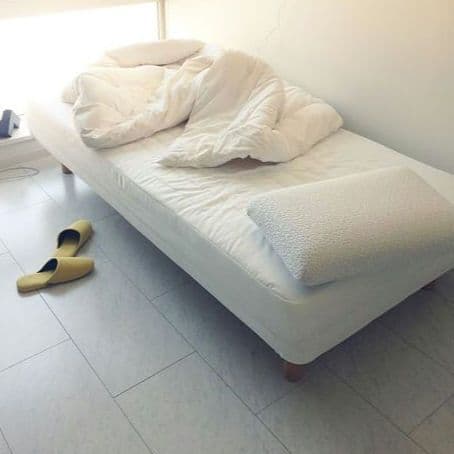 ニトリ 温度調整○掛ふとん 年中快適 温度調整わた【新品】セミダブル