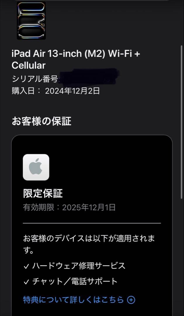 iPad Air (M2)13インチ Wi-Fi+Cellular 128GB