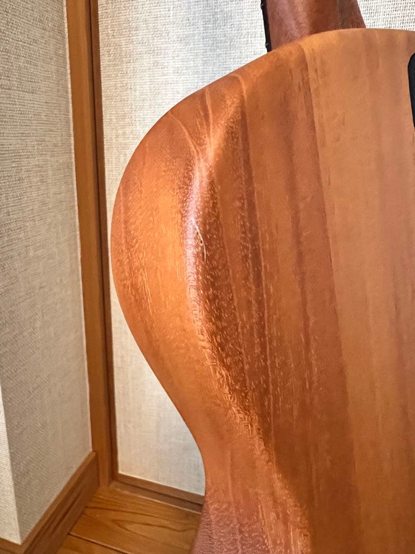 【期間限定セール】Fender Highway Series Parlor