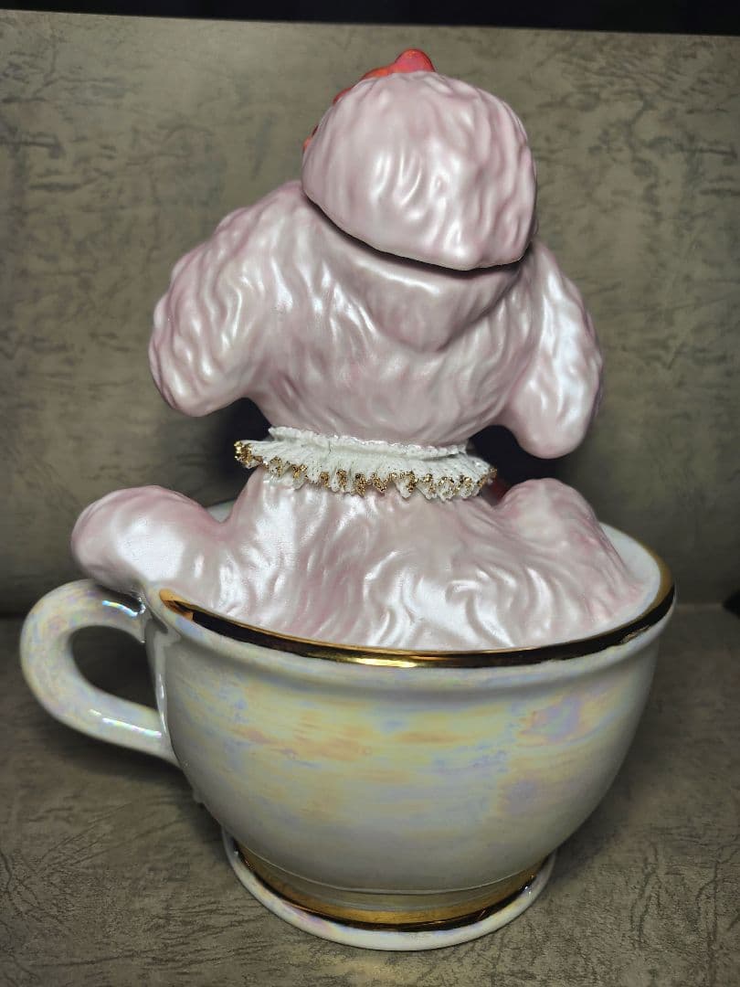 ティーカッププードル　ブランデー　プリンセス