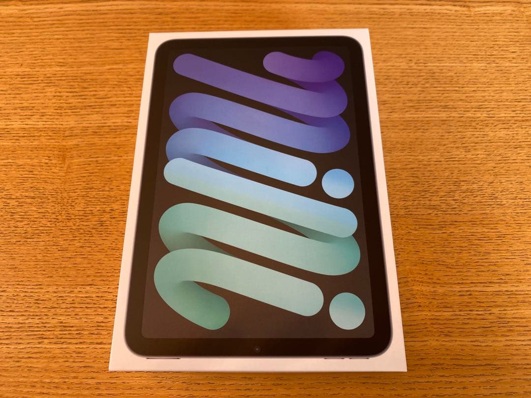 【未使用に近い】Apple iPadmini 64GB スペースグレー 第6世代