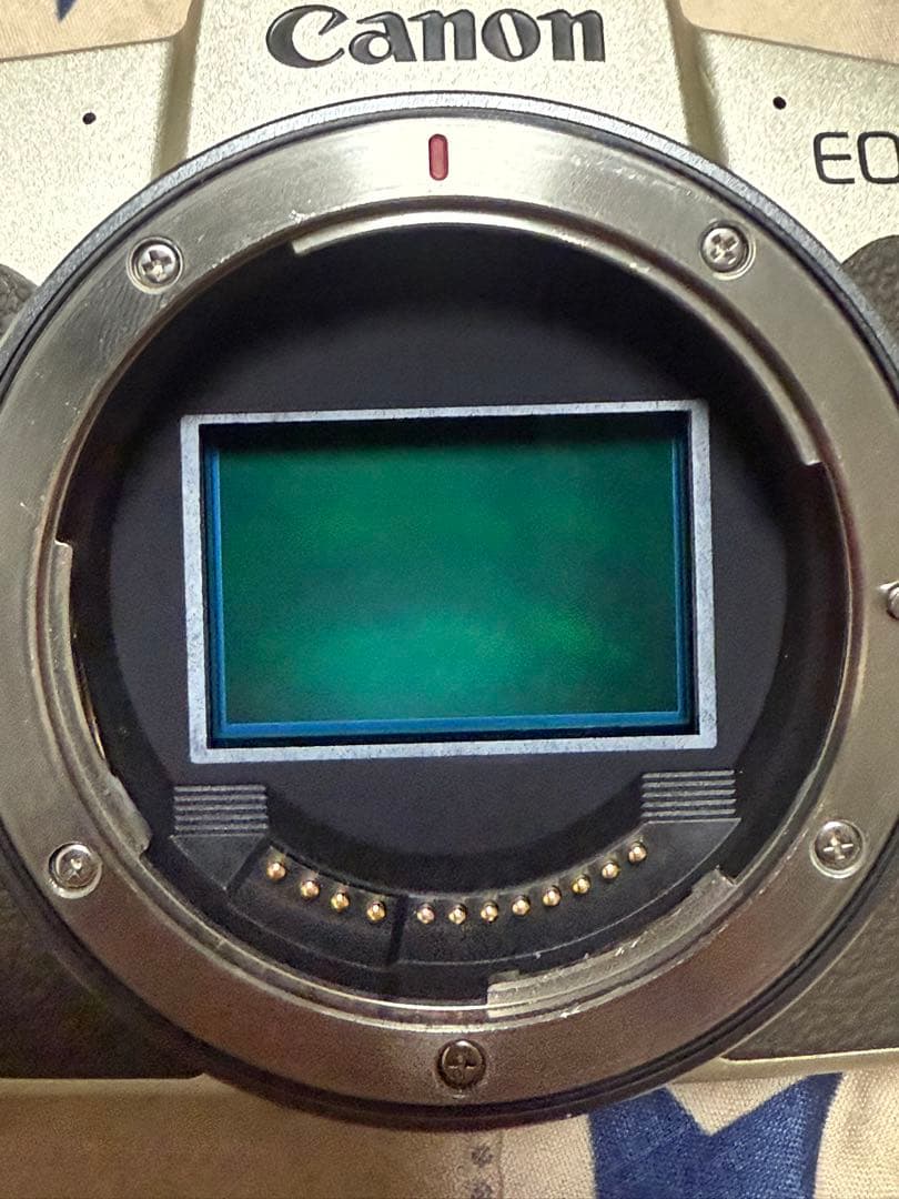 CanonEOSRPミラーレス一眼レンズセットRF24-240+RF50F1.8