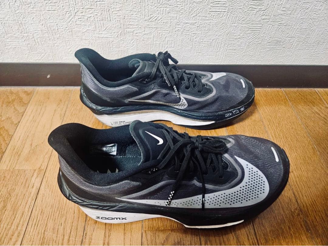 Nikeズームフライ6／Zoom Fly 6／29cm