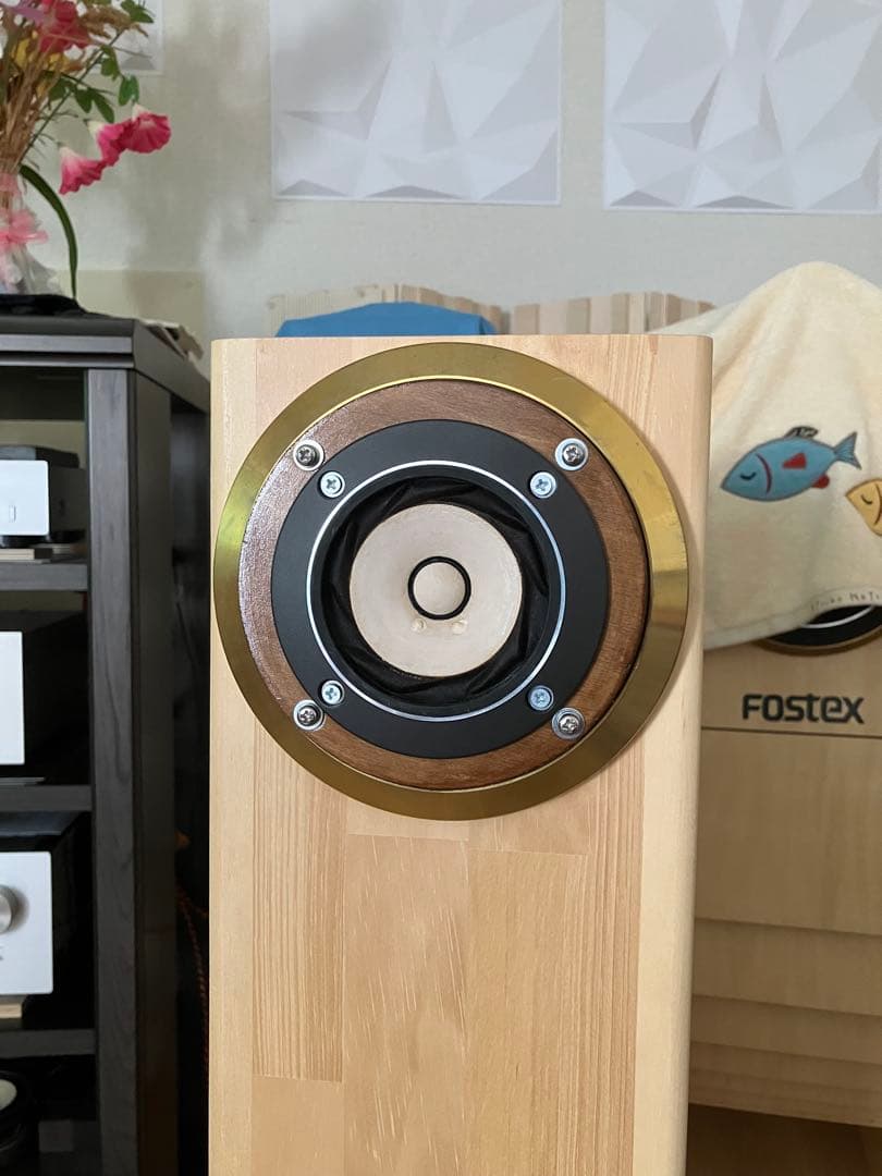 Fostex 6N-FE88ESフルレンジスピーカー2本バッフル他おまけ付き希少