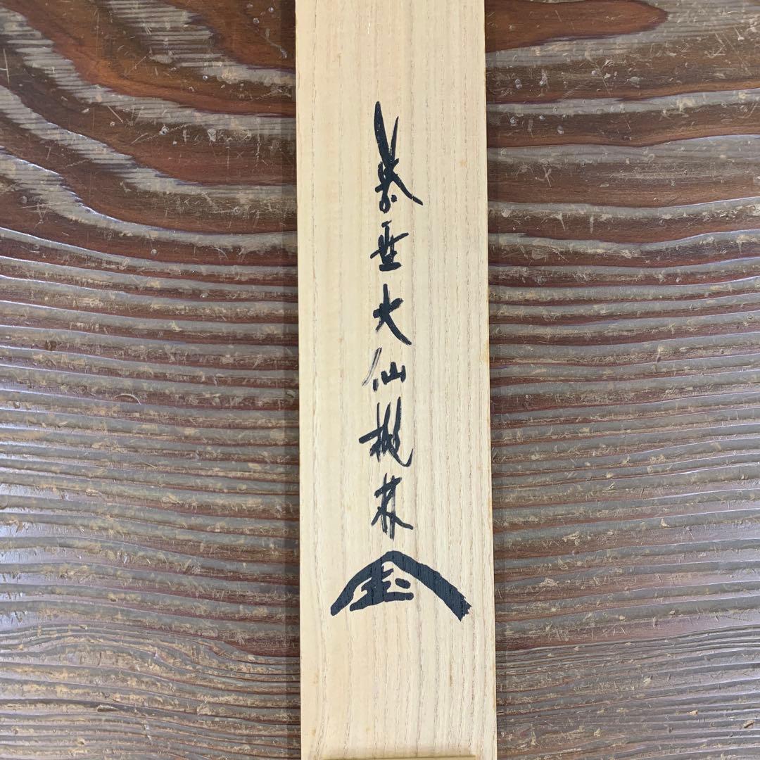 美品 掛け軸 大徳寺 尾関桃林作「柳緑花紅」共箱 禅語 茶掛け