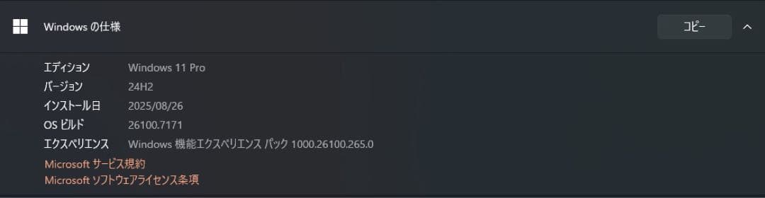Windowsノート本体 ThinkPad X1 Carbon Gen10 / i7 / 1TB