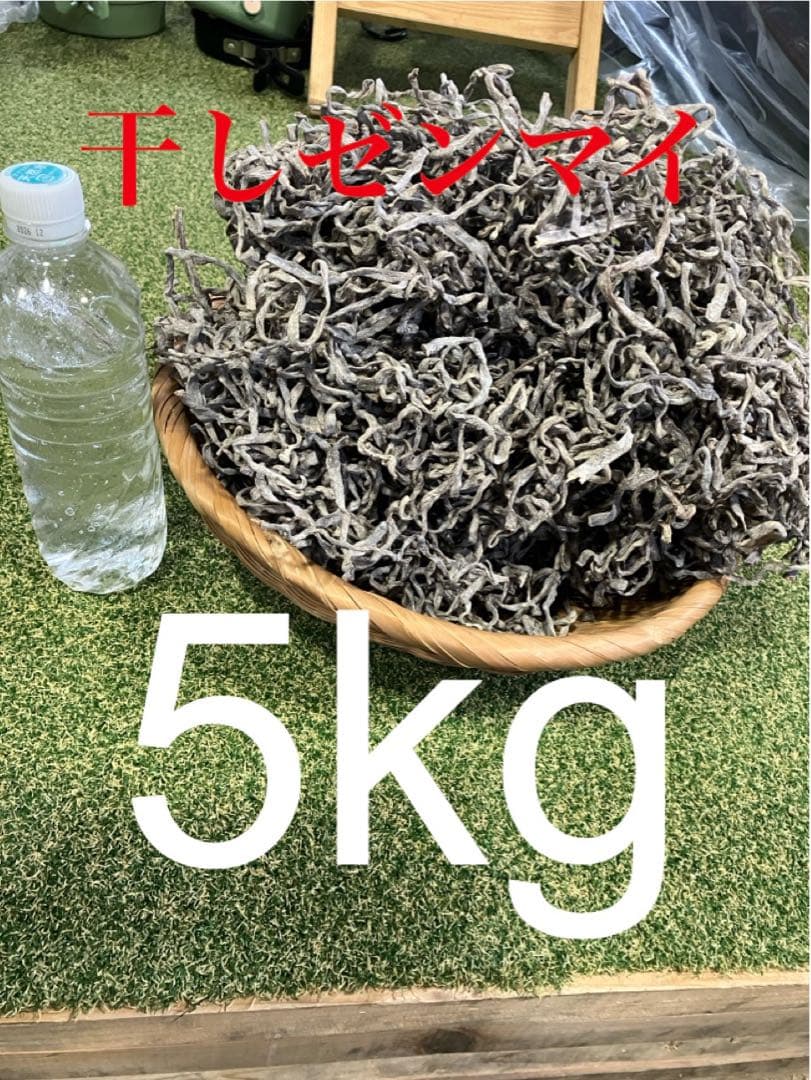 干しゼンマイ（塩仕込み）5kg