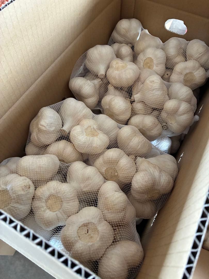 新物　青森県にんにく5Kg2L 良品