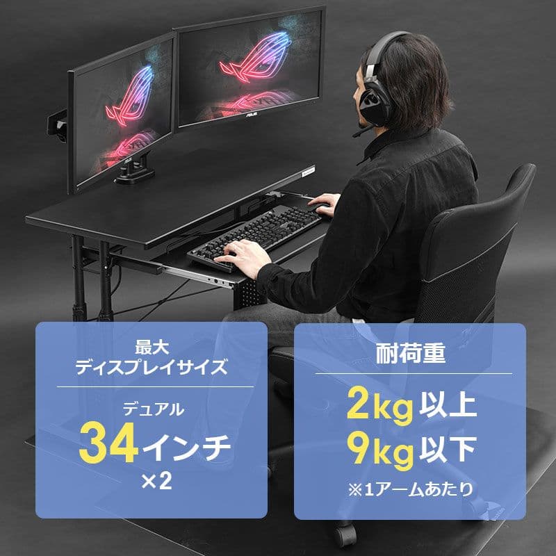 バウヒュッテ　スリムモニターアーム　デュアルモニター BMA-2SLM