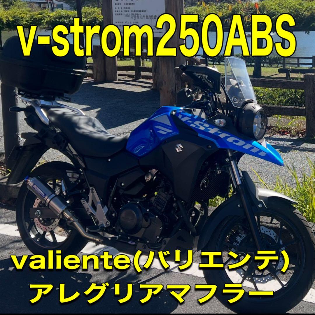 v-strom250ABS (バリエンテ)アレグリアマフラー　vストローム