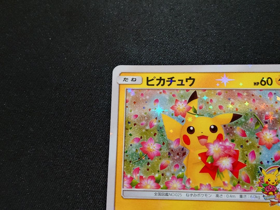 みんなでいわうピカチュウ　20th