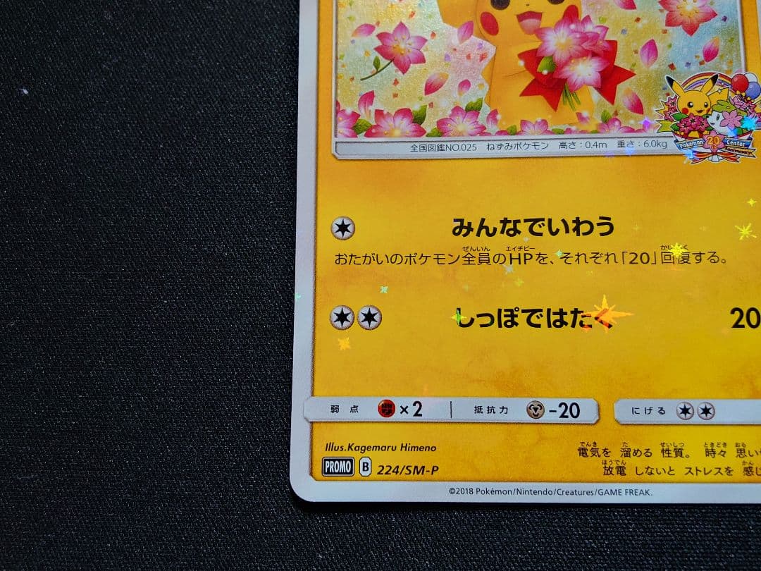 みんなでいわうピカチュウ　20th