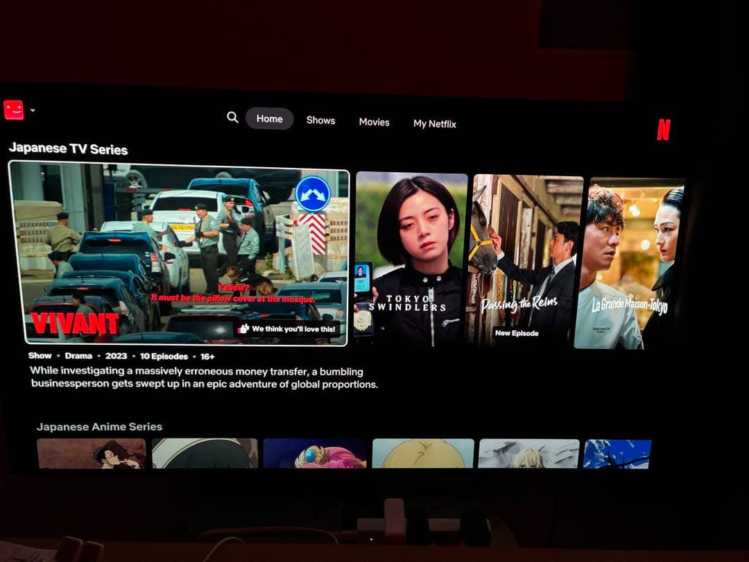 LG 有機ELテレビ OLED48C3PJA（48インチ）