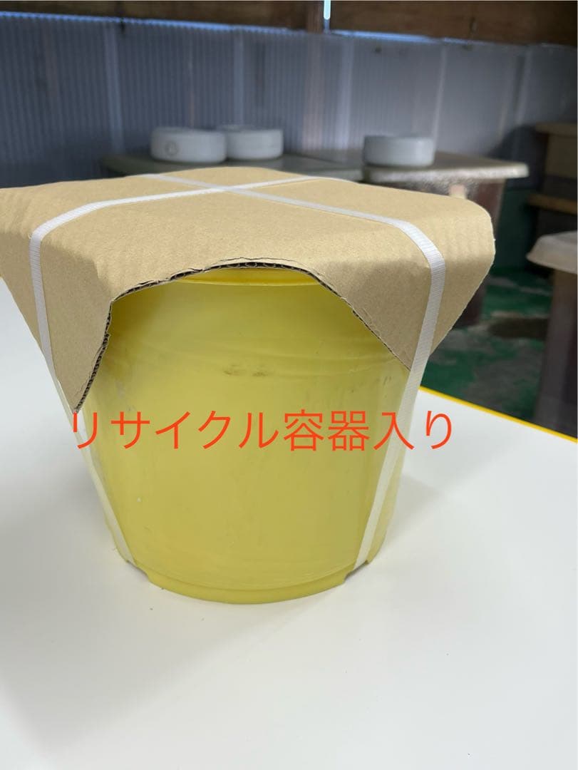 紀州南高梅 つぶれちゃった 白干し　無添加　無選別　10kg