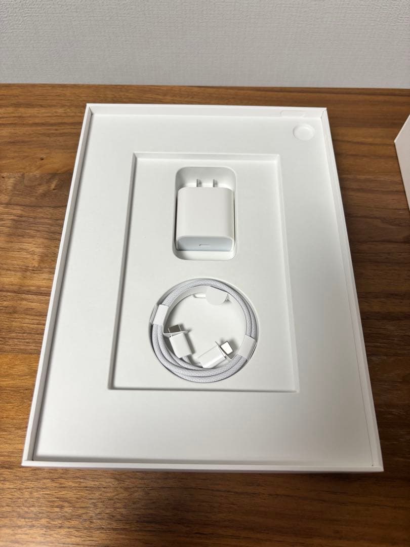 iPad 第10世代　充電セット未使用　Wi-Fiモデル