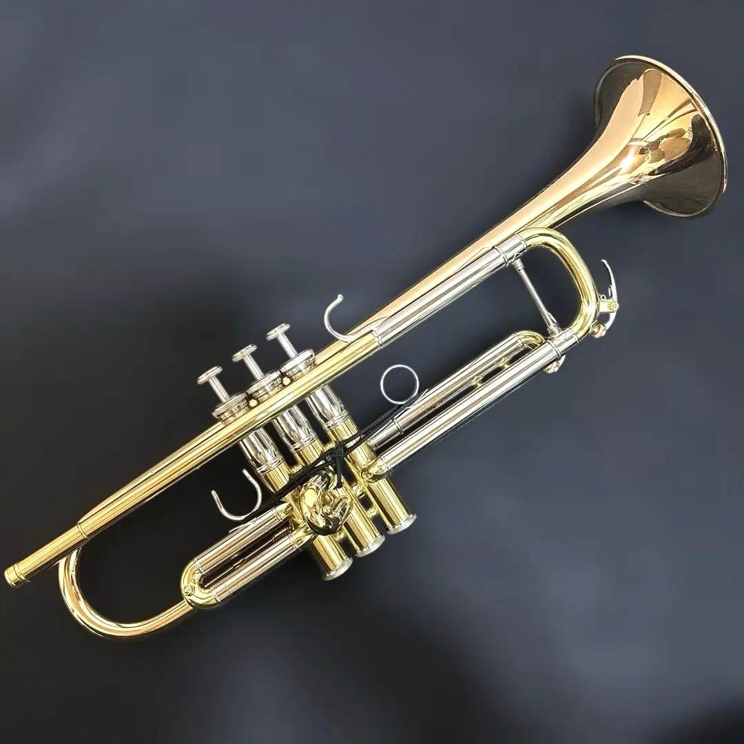 YAMAHA YTR-8335G改 （NYマローンパイプ／支柱1本）