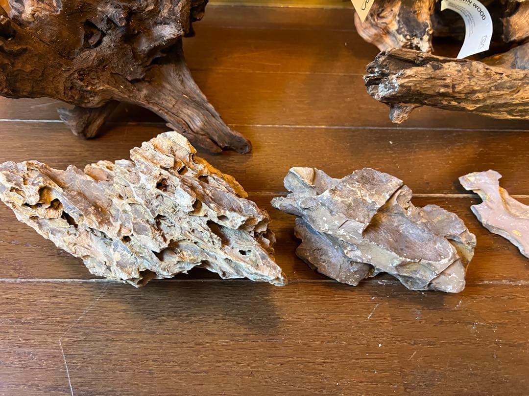 U*P様 ADAホーンウッド　未使用品　未通水