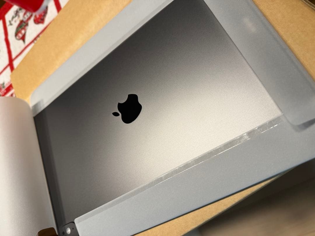 IPAD PRO M5 13インチ256GB WIFI+CELLULAR