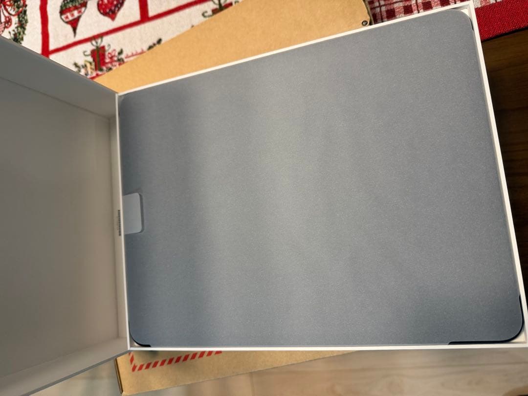 IPAD PRO M5 13インチ256GB WIFI+CELLULAR