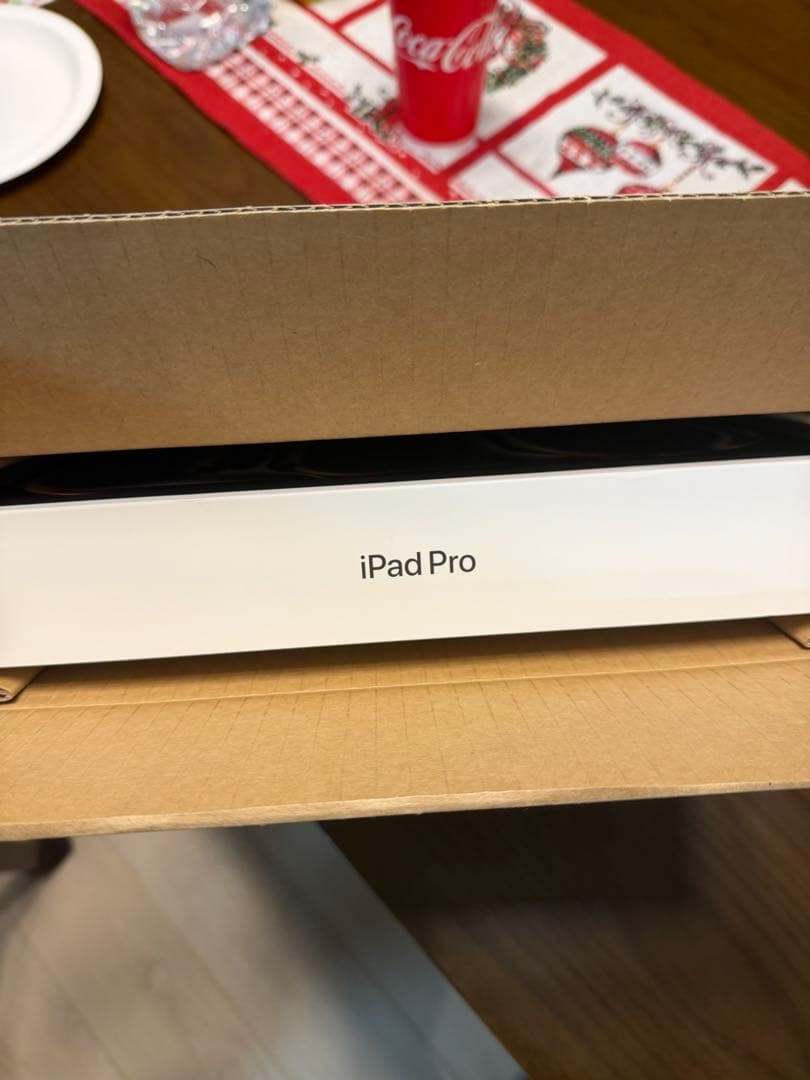 IPAD PRO M5 13インチ256GB WIFI+CELLULAR