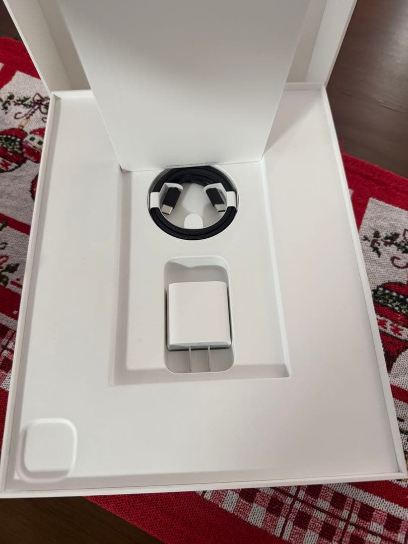 IPAD PRO M5 13インチ256GB WIFI+CELLULAR