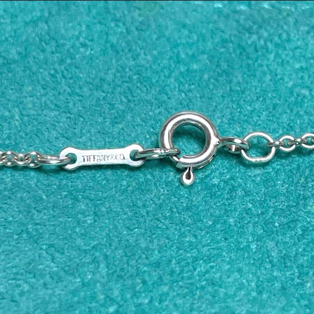 TIFFANY&Co. ティファニー　アップルモチーフネックレス　林檎　925