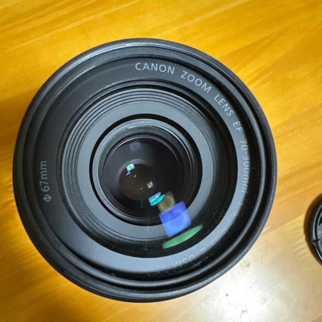 Canon 望遠ズーム EF70-300mm F4-5.6 IS II USM