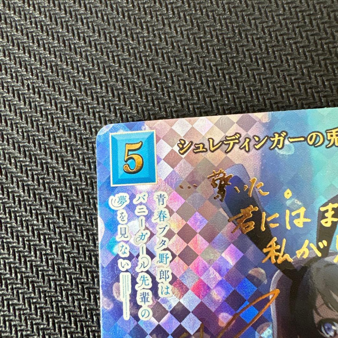 ビルディバイド　青ブタ　桜島麻衣　BR サイン