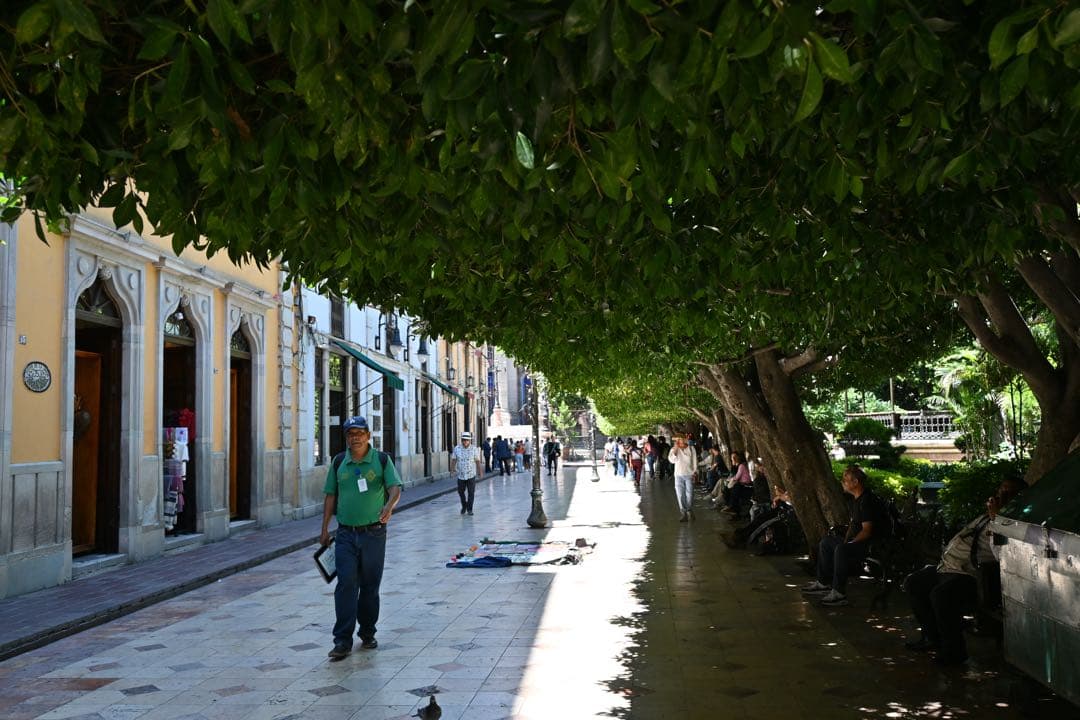 【美品】Nikon z50お得セット