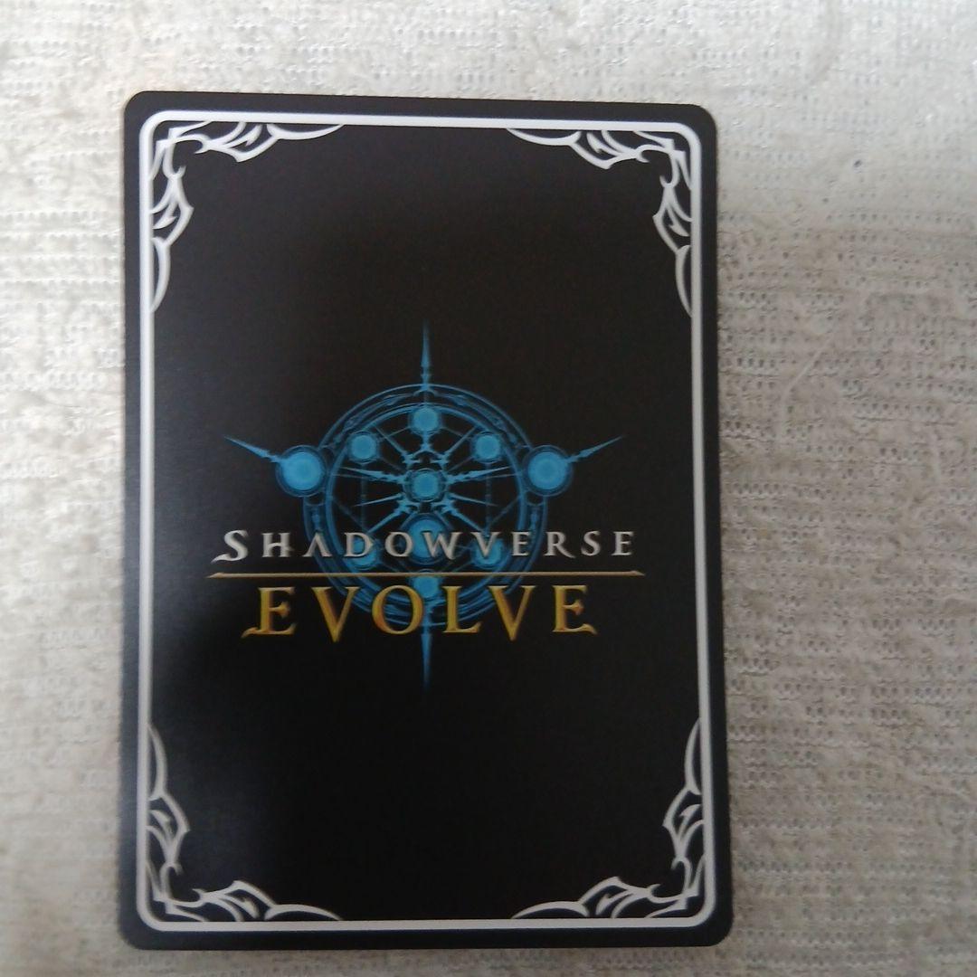 ウマ娘 ドゥラメンテ SSP サインカード シャドウバースエボルヴ